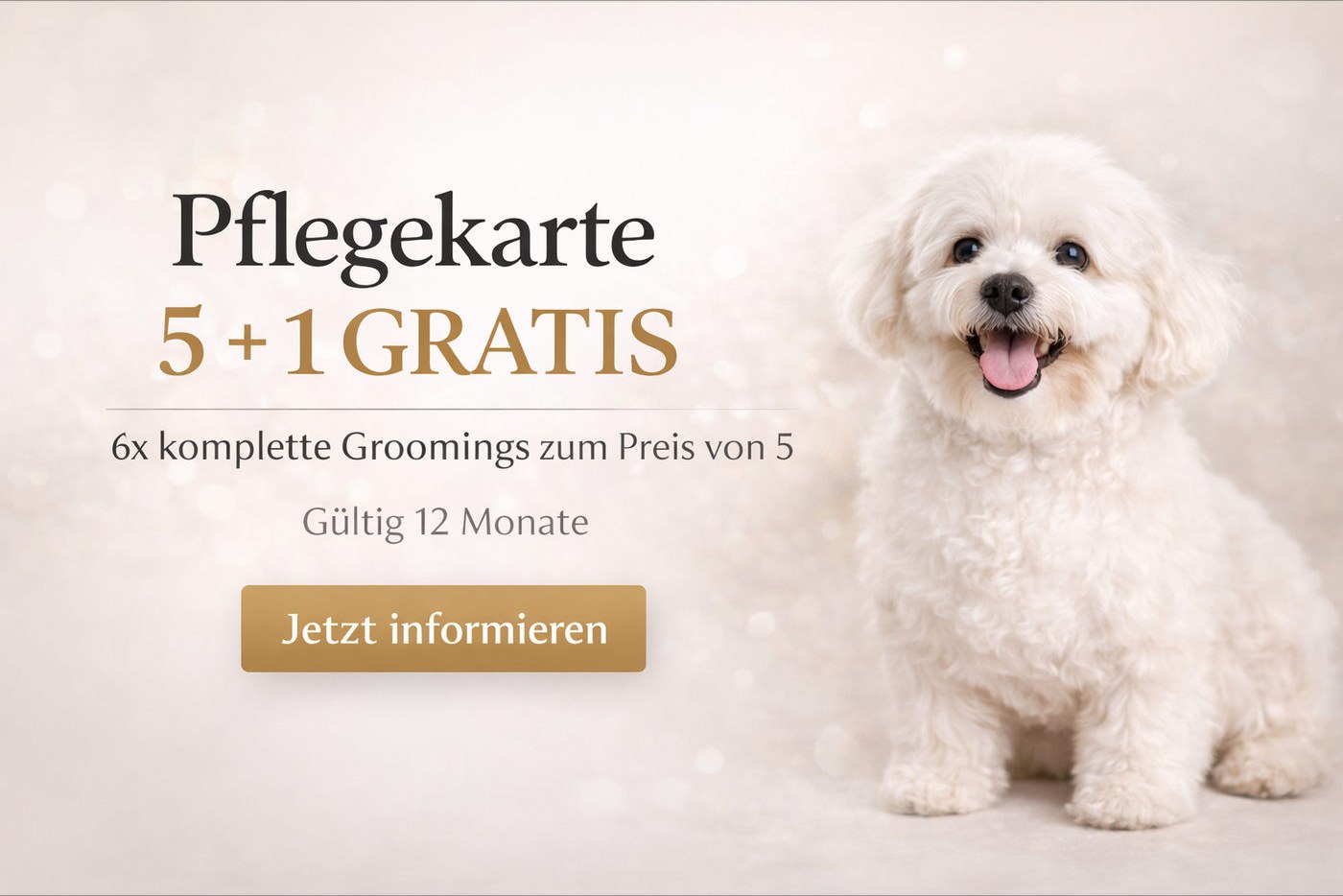Aktionsgrafik der Pflegekarte 5 + 1 gratis